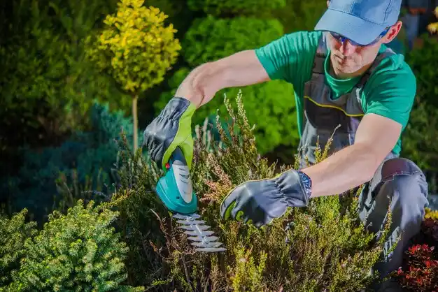 landscaping services Jenkins